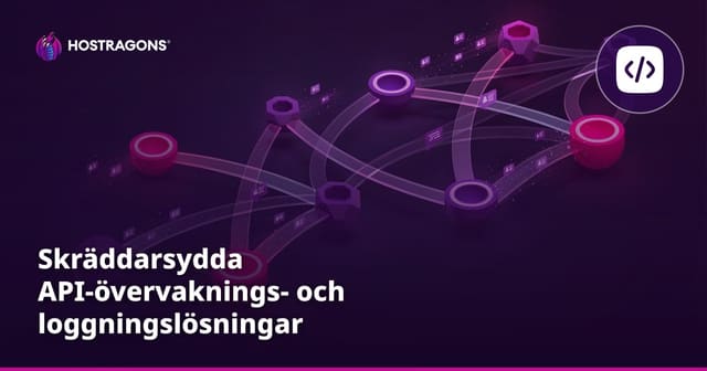 Skräddarsydda API-övervaknings- och loggningslösningar