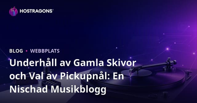 Underhåll av Gamla Skivor och Val av Pickupnål: En Nischad Musikblogg