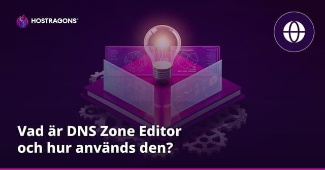 Vad är DNS Zone Editor och hur används den?