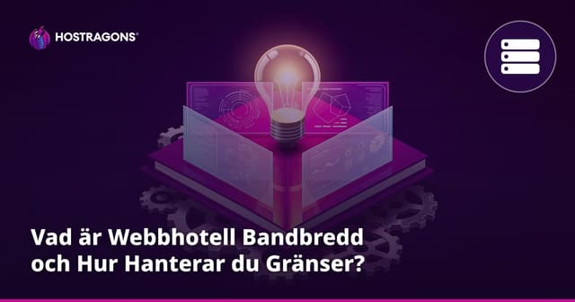 Vad är Webbhotell Bandbredd och Hur Hanterar du Gränser?