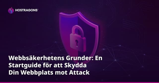 Webbsäkerhetens Grunder: En Startguide för att Skydda Din Webbplats mot Attack