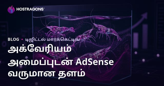 அக்வாரியம் அமைப்பும் அரிதான கரிட்ஸ் வகைகள் பற்றிய AdSense வருமானம் அதிகம் உள்ள இணையதளம் உருவாக்குவது