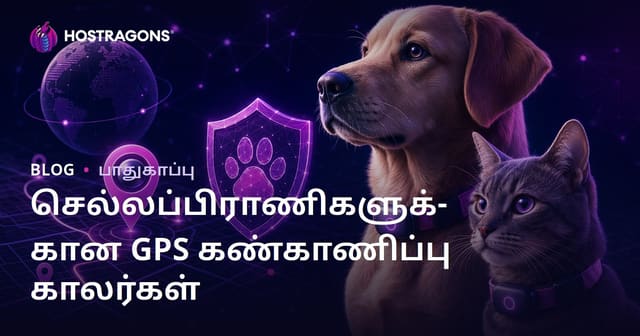 நாய் மற்றும் பூனைக்கு உரிய GPS கண்காணிப்பு கயிற்றுகளைப் பற்றிய பாதுகாப்பு வலைப்பதிவு