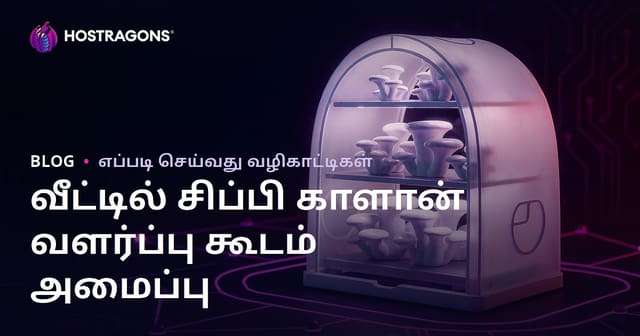 வீட்டில் இஸ்திரிடியே மந்தை வளர்க்கும் கூடம் அமைத்தல்: படி படியாக வழிகாட்டி