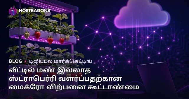 வீட்டில் மண் இல்லாத ஸ்ட்ராபெர்ரி வளர்ப்பதற்கான மைக்ரோ விற்பனை கூட்டாண்மை