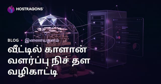 வீட்டில் மஷ்ரூம் வளர்ப்பு: உங்கள் இடத்தில் எப்படி வெற்றிகரமாக மேற்கொள்ளலாம்