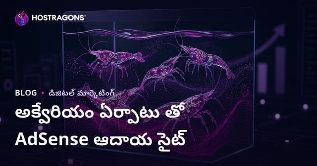 అక్వారియం ఏర్పాటు మరియు అరుదైన కర్రిడ్స్ రకాలపై అధిక ఆదాయం వచ్చే వెబ్‌సైట్ ఎలా తయారు చేయాలి