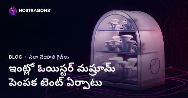 ఇంట్లో ఒయిస్టర్ మష్రూమ్ పెంపకం టెంట్ ఏర్పాటుకు పూర్తి మార్గదర్శకము