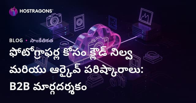 ఫోటోగ్రాఫర్ల కోసం క్లౌడ్ నిల్వ మరియు ఆర్కైవ్ పరిష్కారాలు: B2B మార్గదర్శకం