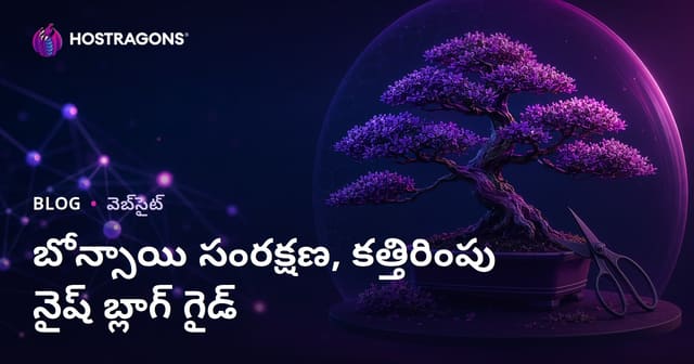 బొన్సాయి చెట్టు సంరక్షణ & పత్తి కత్తిరింపు సాంకేతికతలపై దృష్టి సారించిన విజువల్ నిష్ బ్లాగ్