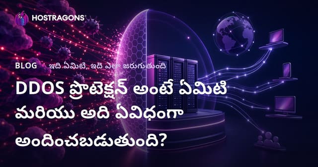 DDOS ప్రొటెక్షన్ అంటే ఏమిటి మరియు అది ఏవిధంగా అందించబడుతుంది?