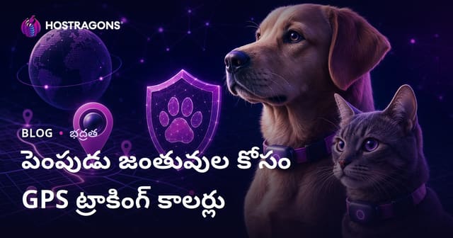 evcil ప్రాణులకు gps ట్రాకింగ్ కాలర్లపై సమగ్ర విశ్లేషణ మరియు సురక్షిత బ్లాగ్ మార్గదర్శకం