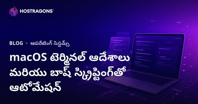 macOS Terminal బేసిక్స్ మరియు Bash Scripting ద్వారా ఆటోమేషన్ – తెలుగు గైడ్