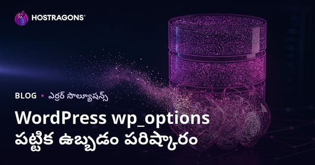 WordPress wp_options పట్టిక పెరిగిపోవడం: మీ వెబ్‌సైట్ నెమ్మదిగా పనిచేయడానికి కారణమైన దాచిన డేటాను తొలగించడం