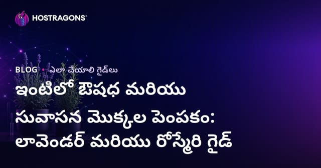ఇంటిలో ఔషధ మరియు సువాసన మొక్కల పెంపకం: లావెండర్ మరియు రోస్మేరి గైడ్