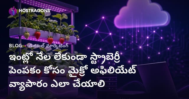 ఇంట్లో నేల లేకుండా స్ట్రాబెర్రీ పెంపకం కోసం మైక్రో అఫిలియేట్ వ్యాపారం ఎలా చేయాలి