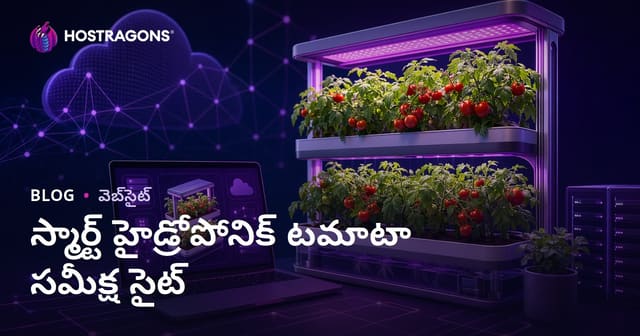 ఈ సంవత్సరంలో ఇంటిలో మేధో హైడ్రోపోనిక్ టమాటా సాగుపై సమీక్షల కోసం వెబ్‌సైట్ నిర్మాణ గైడ్