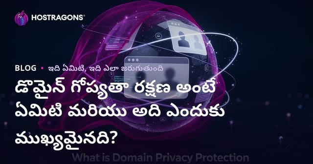 డొమైన్ గోప్యతా రక్షణ అంటే ఏమిటి మరియు అది ఎందుకు ముఖ్యమైనది?