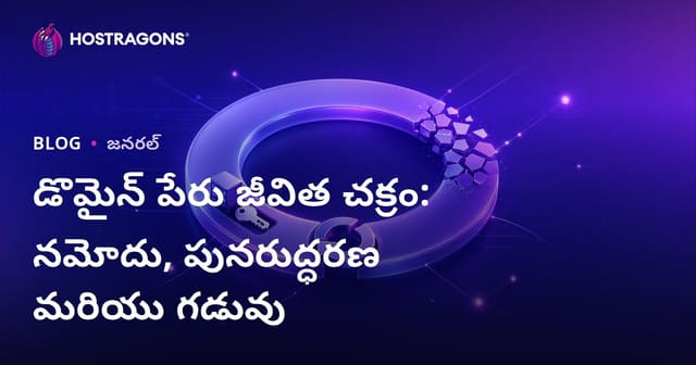 డొమెయిన్ నేమ్ లైఫ్ సైకిల్: నమోదు, పునరుద్ధరణ మరియు ముగింపు