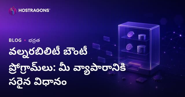 వల్నరబిలిటీ బౌంటీ ప్రోగ్రామ్‌లు: మీ వ్యాపారానికి సరైన విధానం