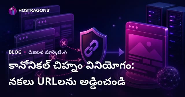 మీ సైట్ కాపీ URLలను నివారించడం: కానానికల్ ట్యాగ్ వినియోగం