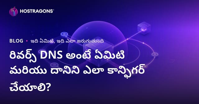 Reverse DNS అంటే ఏమిటి? IP చిరునామా నుండి డొమెయిన్ పేరు పొందడం, నెలకొల్పడం – పూర్తి గైడ్