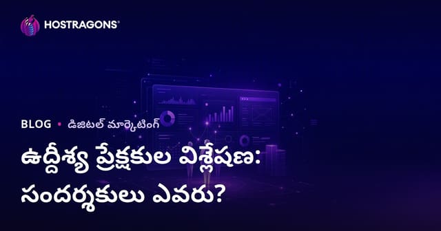 లక్ష్య ప్రేక్షకుల విశ్లేషణ: మీ సైట్‌కు వచ్చే సందర్శకులు ఎవరు, వారికి ఏమి కావాలి?