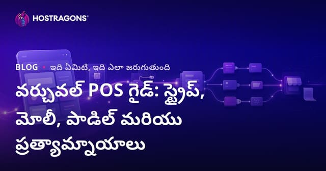 వర్చువల్ POS గైడ్: Stripe, Mollie, Paddle మరియు ప్రత్యామ్నాయాలు