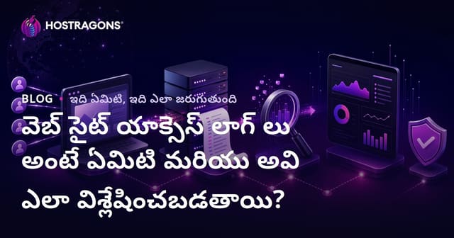 వెబ్‌సైట్ యాక్సెస్ లాగ్స్ అంటే ఏమిటి? విశ్లేషణ ఎలా చెయ్యాలి? (తెలుగులో)
