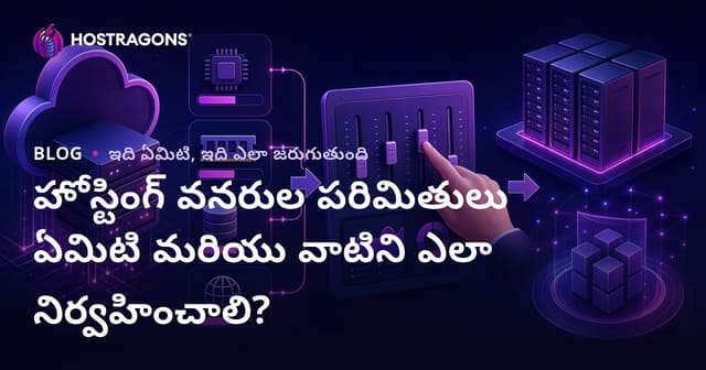 హోస్టింగ్‌ మార్కెట్‌లో వనరుల పరిమితులు అంటే ఏమిటి? జీవ Website వినియోగాన్ని ఎలా సమర్థవంతంగా నిర్వహించాలి?