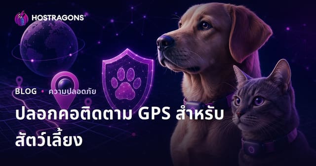รีวิวปลอกคอติดตาม GPS สำหรับสัตว์เลี้ยง ที่เจ้าของต้องรู้ก่อนซื้อ