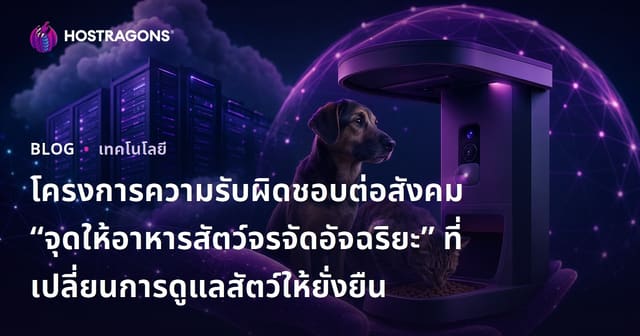 โครงการความรับผิดชอบต่อสังคม “จุดให้อาหารสัตว์จรจัดอัจฉริยะ” ที่เปลี่ยนการดูแลสัตว์ให้ยั่งยืน