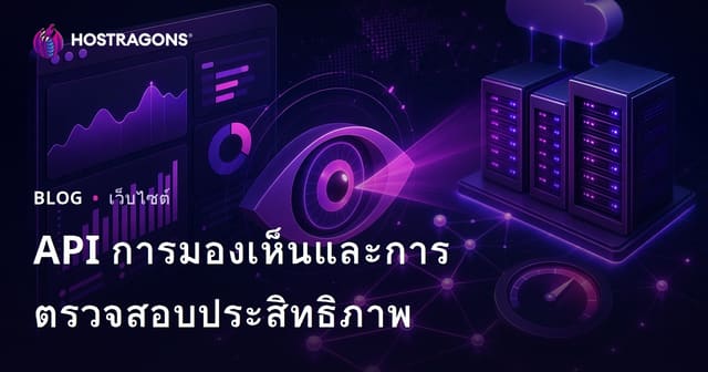 API การมองเห็นและการตรวจสอบประสิทธิภาพ