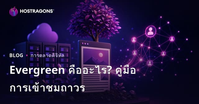 Evergreen Content คืออะไร? วิธีเขียนบทความสร้างทราฟฟิกยาวนานหลายปีสำหรับเว็บไซต์โฮสติ้ง