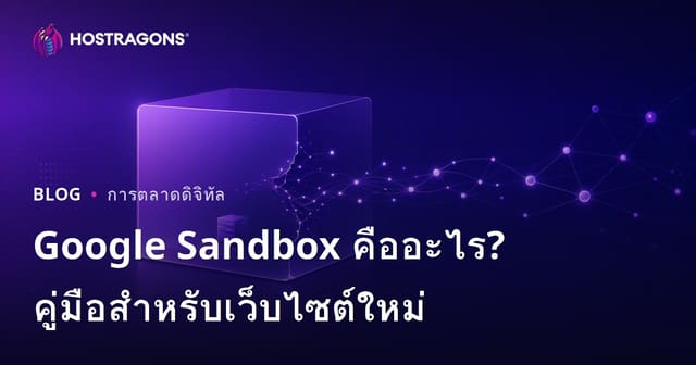 Google Sandbox คืออะไร? เว็บไซต์ใหม่จะหลุดพ้นจากช่วง Sandbox ได้อย่างไร?
