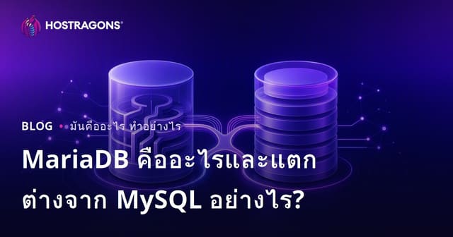 MariaDB คืออะไร? และความแตกต่างกับ MySQL มีอะไรบ้าง?