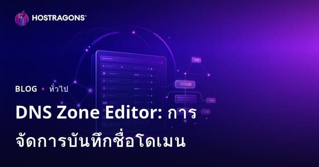 DNS Zone Editor: การจัดการบันทึกชื่อโดเมน