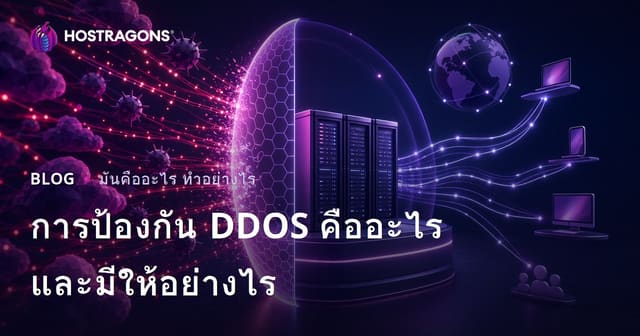 การป้องกัน DDOS คืออะไรและมีให้อย่างไร
