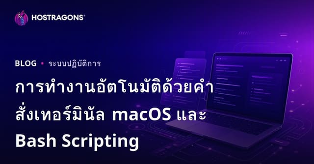 การทำงานอัตโนมัติด้วยคำสั่งเทอร์มินัล macOS และ Bash Scripting