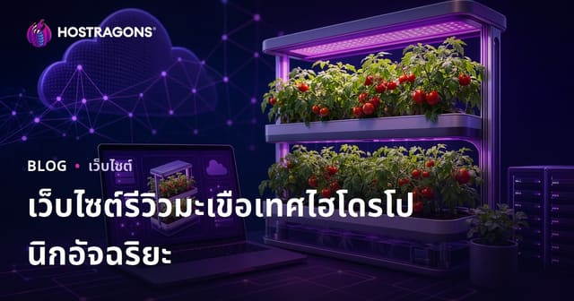 คู่มือการสร้างเว็บไซต์รีวิวเกี่ยวกับการปลูกมะเขือเทศไฮโดรโปนิกอย่างชาญฉลาดที่บ้านเท่านั้น