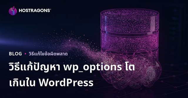 ปรับแต่ง WordPress ด้วยการลบข้อมูลซ่อนในตาราง wp_options เพื่อเร่งความเร็วเว็บไซต์