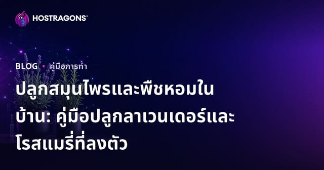 ปลูกสมุนไพรและพืชหอมในบ้าน: คู่มือปลูกลาเวนเดอร์และโรสแมรี่ที่ลงตัว