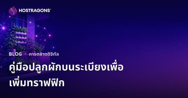 เทคนิคสร้างทราฟิกสำหรับการปลูกผักในเมืองและบนระเบียงแบบมืออาชีพ