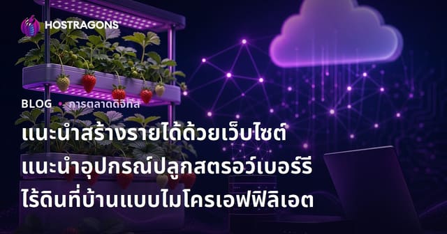 แนะนำสร้างรายได้ด้วยเว็บไซต์แนะนำอุปกรณ์ปลูกสตรอว์เบอร์รีไร้ดินที่บ้านแบบไมโครเอฟฟิลิเอต