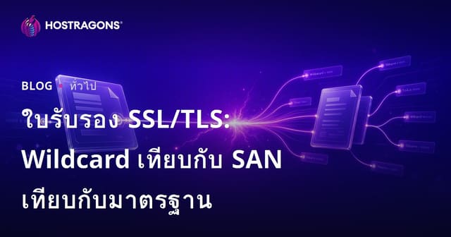 ใบรับรอง SSL/TLS: Wildcard เทียบกับ SAN เทียบกับมาตรฐาน