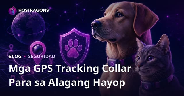 Eksklusibong Gabay sa GPS Tracking Collars para sa Alagang Hayop: Seguridad at Pagsusuri