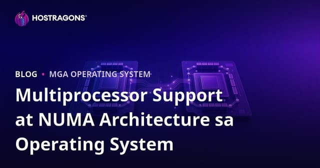 Multiprocessor Support at NUMA Architecture sa Operating System