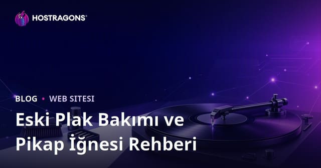 Eski Plakların Bakımı ve Pikap İğnesi Seçimi Üzerine Niş Müzik Bloğu