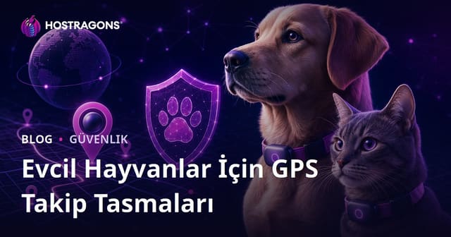 Sadece Evcil Hayvanlar İçin GPS Takip Tasmaları İnceleyen Güvenlik Bloğu
