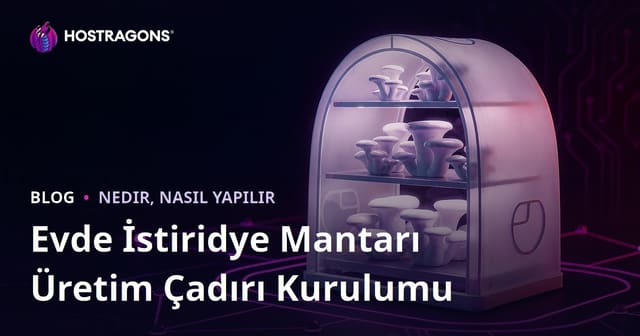 Evde İstiridye Mantarı Üretim Çadırı Kurulumu: Adım Adım Rehber